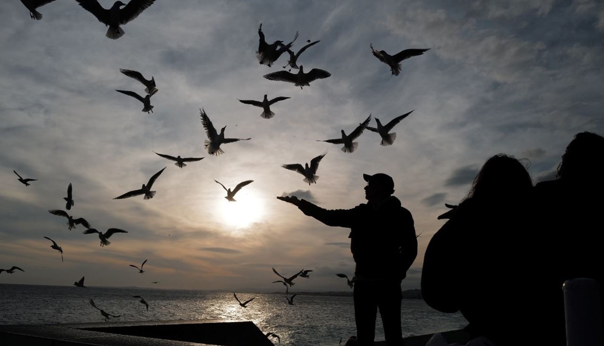 أشخاص يطعمون طيور النورس عند "بروموناد دي انغلي" في مدينة نيس الفرنسية، عند غروب الشمس (27 ت2 2020، أ ف ب). 