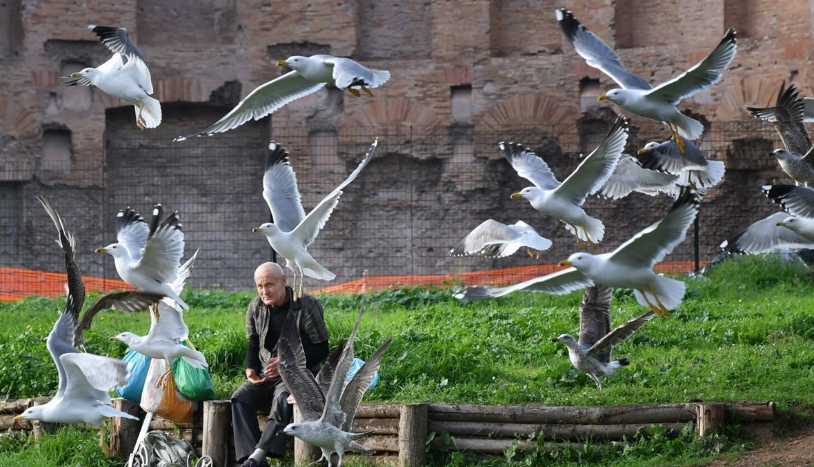 رجل جلس في حديقة في روما، بينما حلقت طيور النورس على مقربة منه (29 ت2 2020، أ ف ب).  