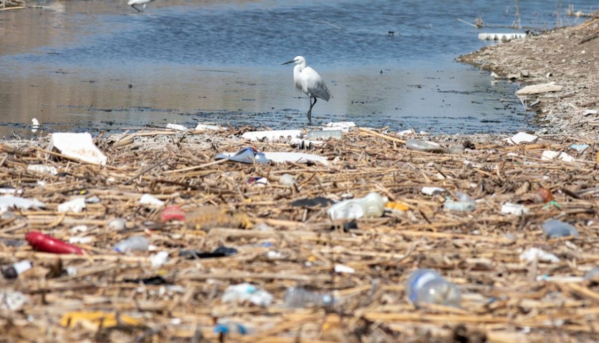 تعرف إلى مختلف أنواع التلوث الموجودة حولنا