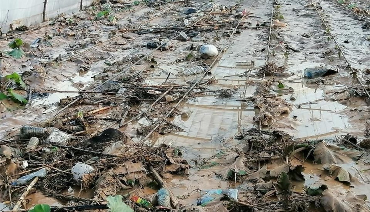 بالصور- "تسونامي" يضرب المنية فجراً... سيول جارفة وخسائر  في المحاصيل الزراعية