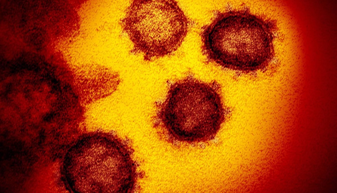 فيروسات كوفيد-19، شباط 2020 - "أ ب"