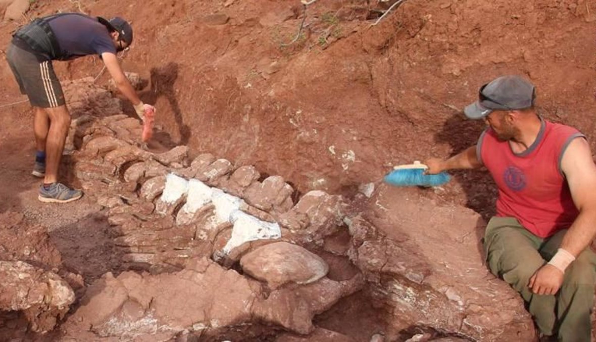 العثور على بقايا ديناصور في الأرجنتين