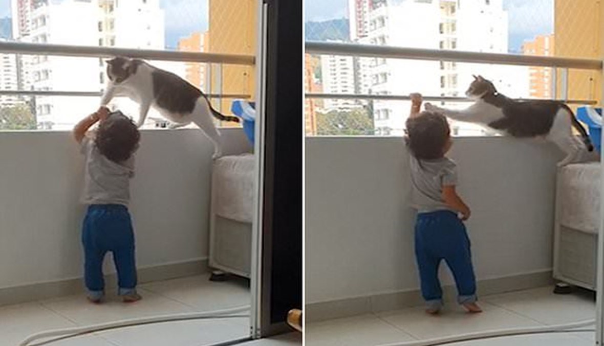 هرّ منع الطفل من تسلّق حاجز الشرفة.