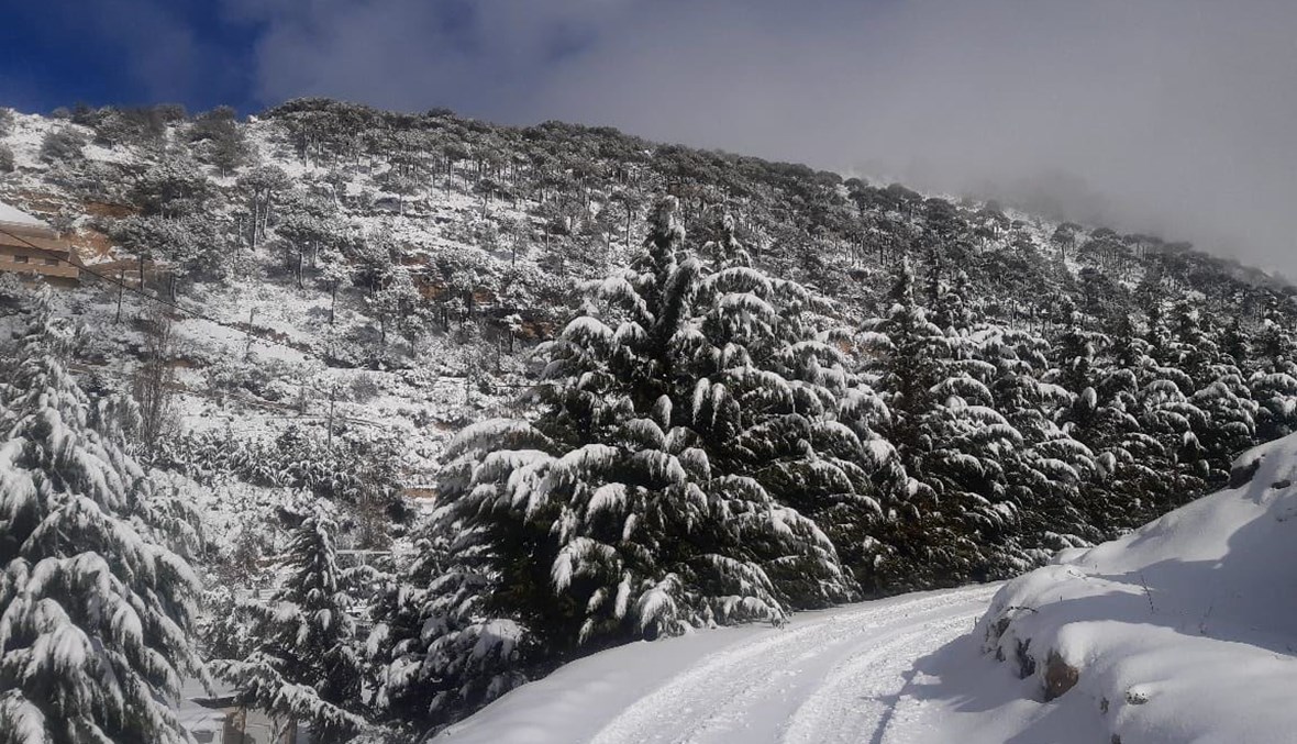 الثلج في إهدن (تصوير طوني فرنجية)