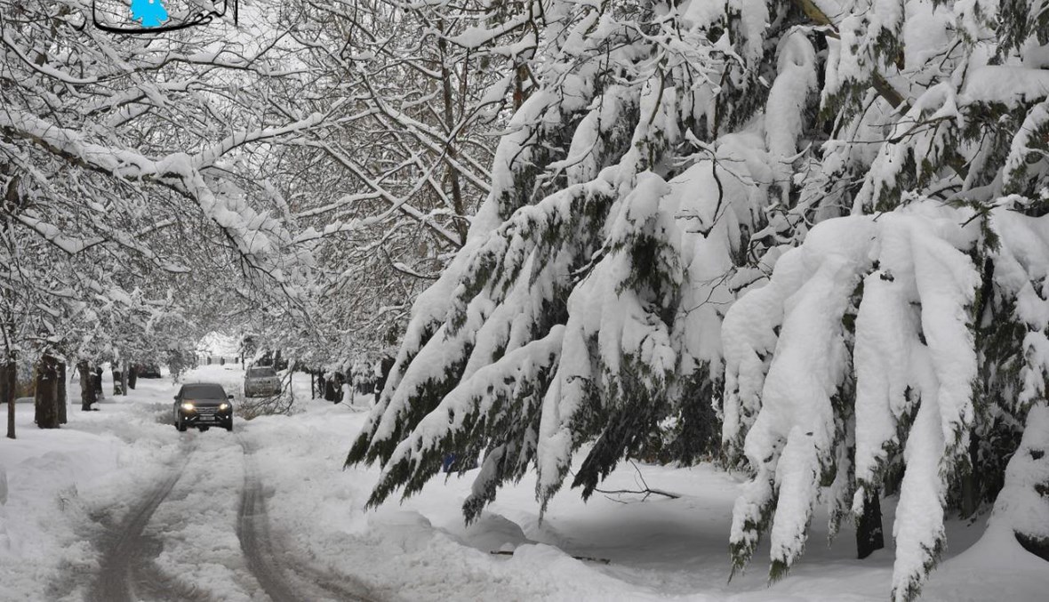 الثلج يغطّي طبيعة لبنان (تعبيرية- نبيل اسماعيل).