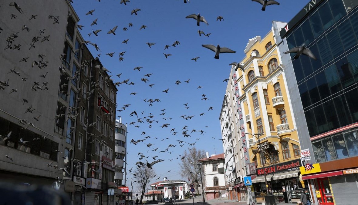 طيور تحلق في منطقة أولوس في أنقرة (27 شباط 2021، أ ف ب). 