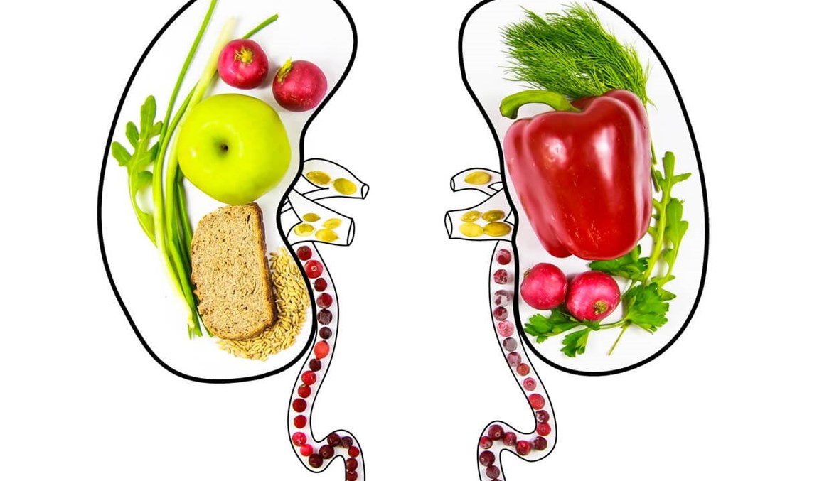 كيف تقلّل من خطر الإصابة بأمراض الكلى؟