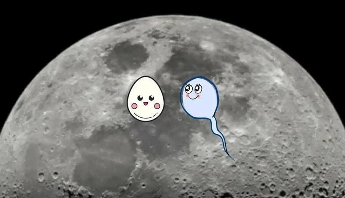 حيوانات منوية إلى القمر