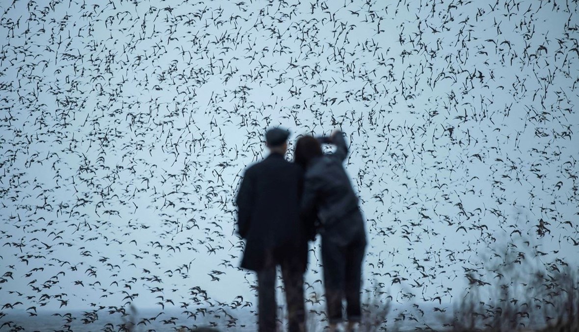 الاتفاق الصيني الإيراني من دون مبالغاته