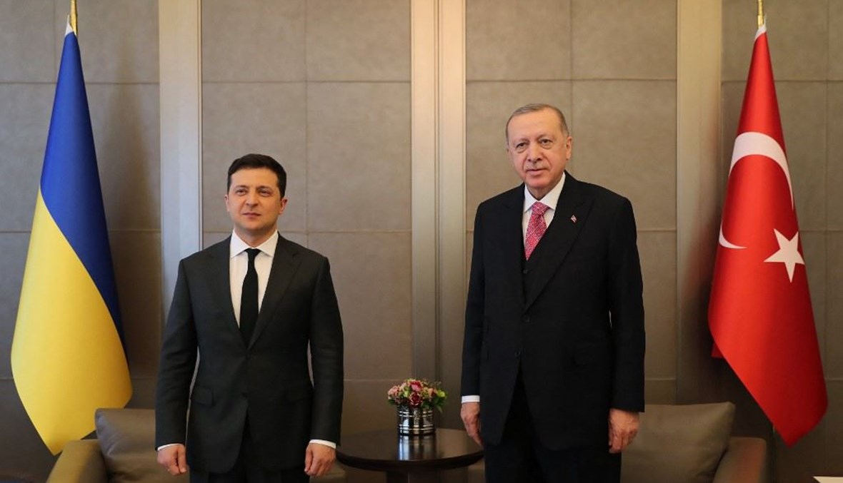 إردوغان مع نظيره الأوكراني (أ ف ب).