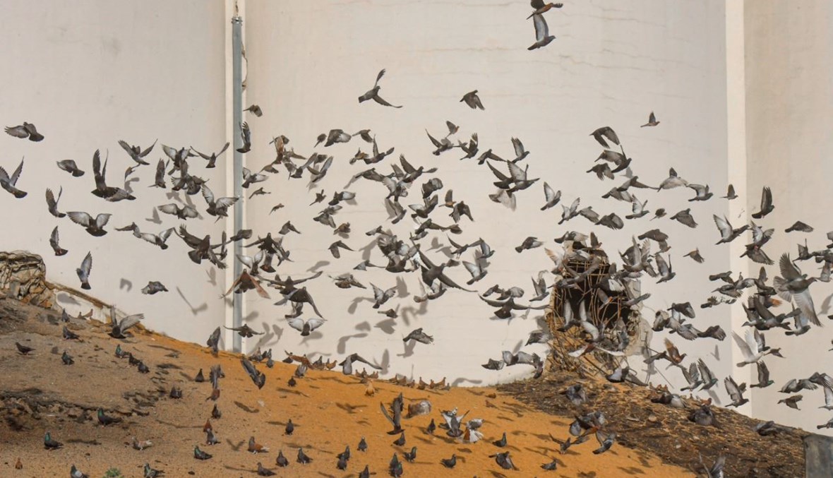 "كآبة المنظر"