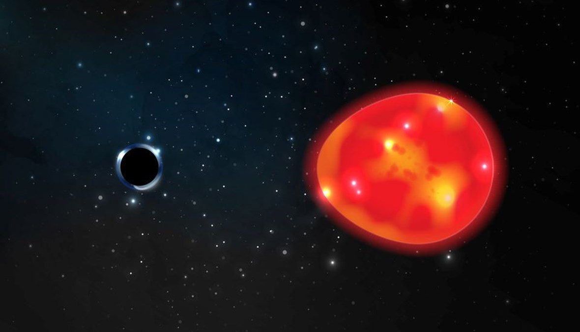 رسمة توضيحية للثقب الأسود "يونيكورن"، حيث يسحب نجماً عملاقاً أحمر (إنجاز لورين فانفر لصالح جامعة ولاية أوهايو).