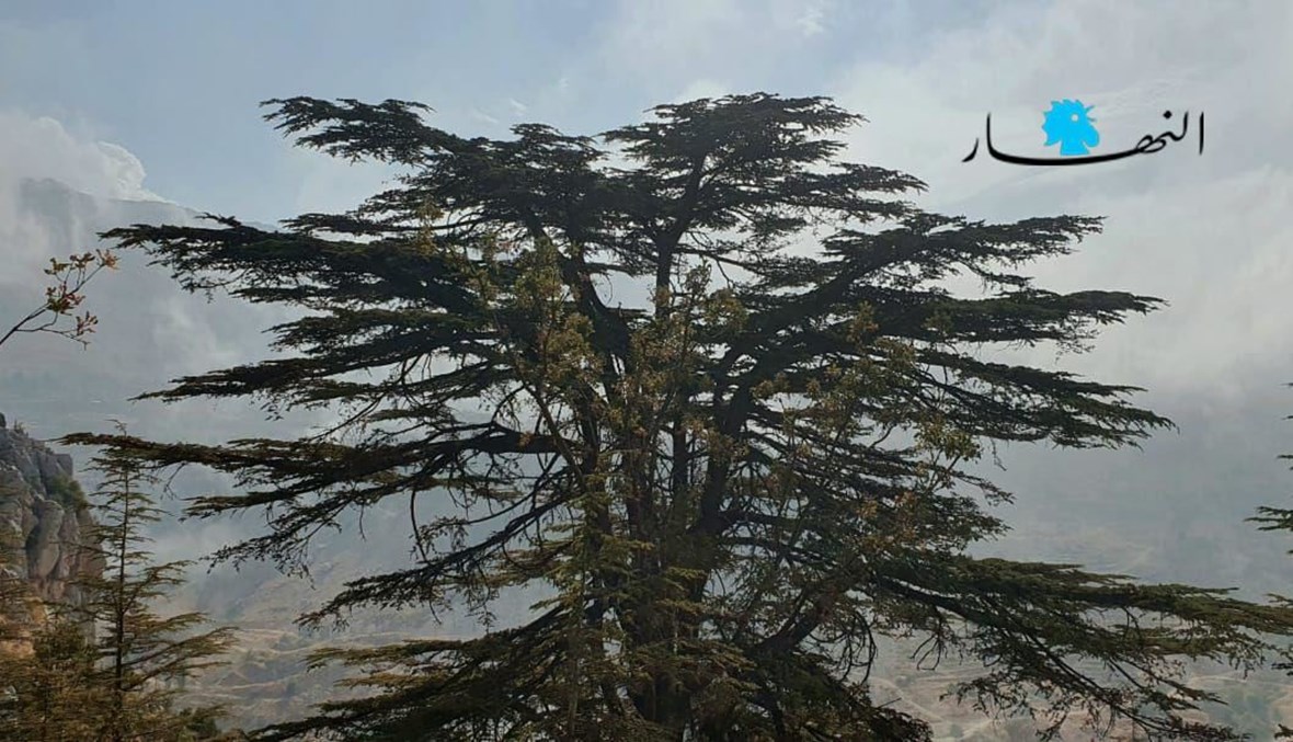 "لبنان الوجود والعدم" لناجي نعمان: "ويكيليكس" على الطريقة الأفلاطونيّة