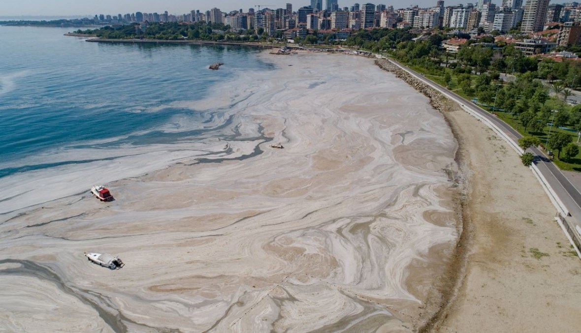 صورة جوية لـ"الصمغ" أو ما يسمى ايضا "لعاب البحر" عند بحر مرمرة بتركيا، والذي يهدد بكارثة بيئية (6 حزيران 2021، أ ف ب). 