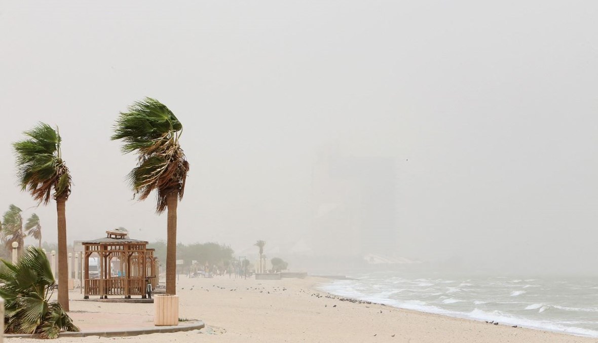 أشجار تتلوى من شدة الريح خلال عاصفة ترابية في مدينة الكويت (13 حزيران 2021، ا ف ب).
