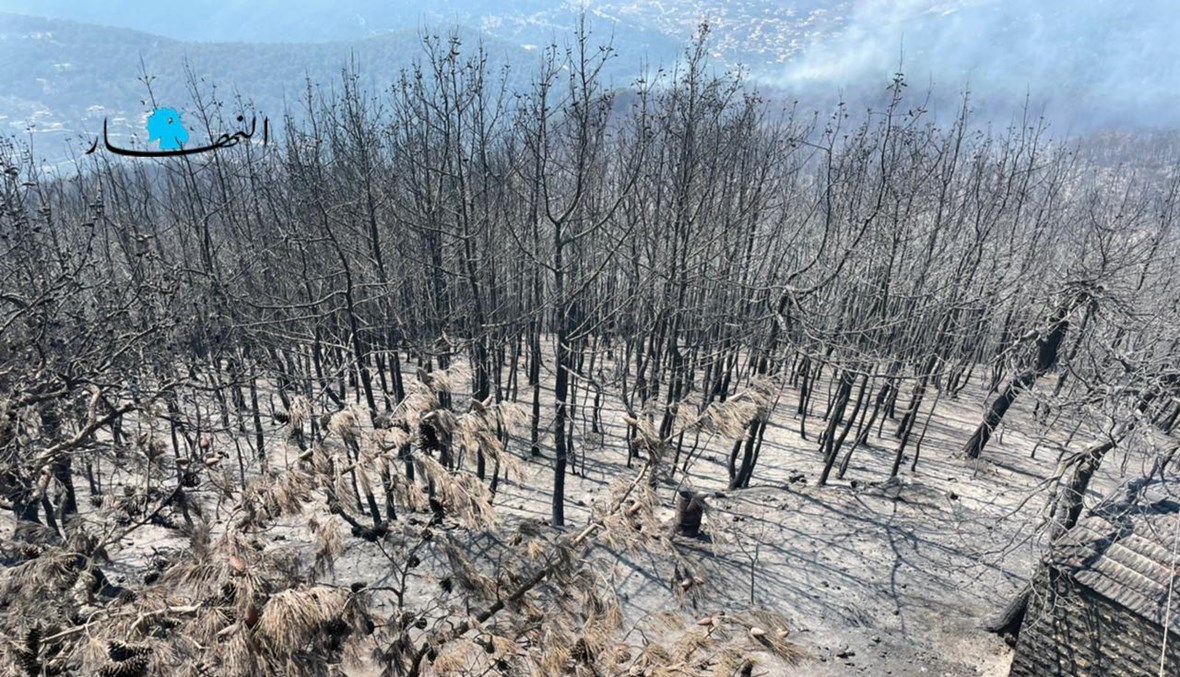 آثار حرائق الغابات في القبيات (تصوير حسام شبارو).