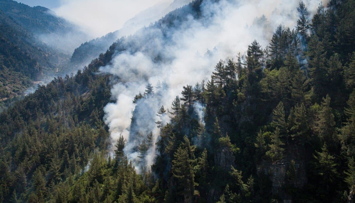 الحرائق مستمرة في غابات عكّار  والضنيّة.