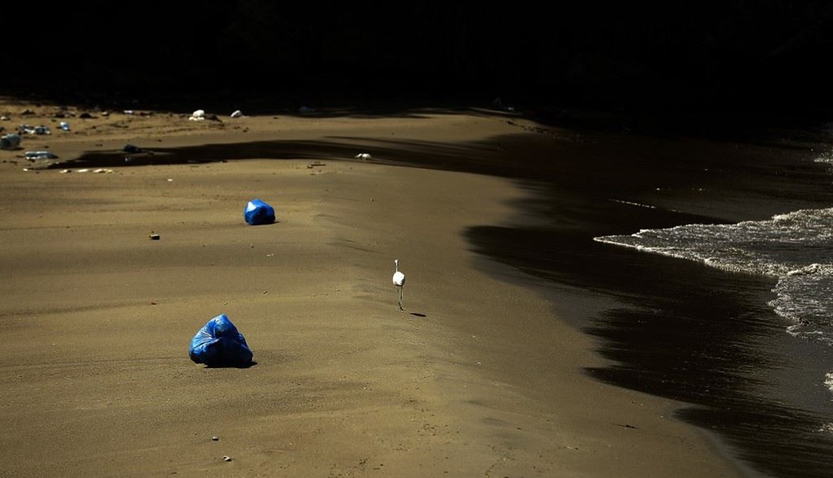 طائر اللقلق يمشي أمام أكياس القمامة على الشاطئ في منطقة أنطلياس (أ ف ب).