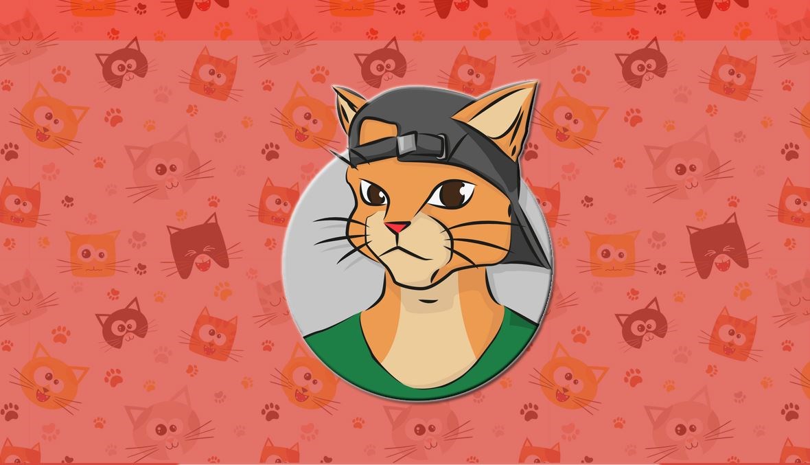 مهام ومناصب وزارية تولتها القطط