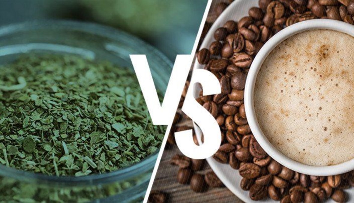 القهوة vs المتة: أيهما يتضمّن نسبة كافيين أعلى؟