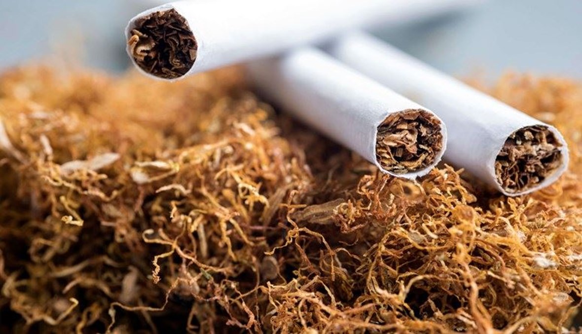 زراعة التبغ في الجنوب تعيل أكثر من 15 ألف عائلة... 3 مراكز تمتنع عن بيع التبغ