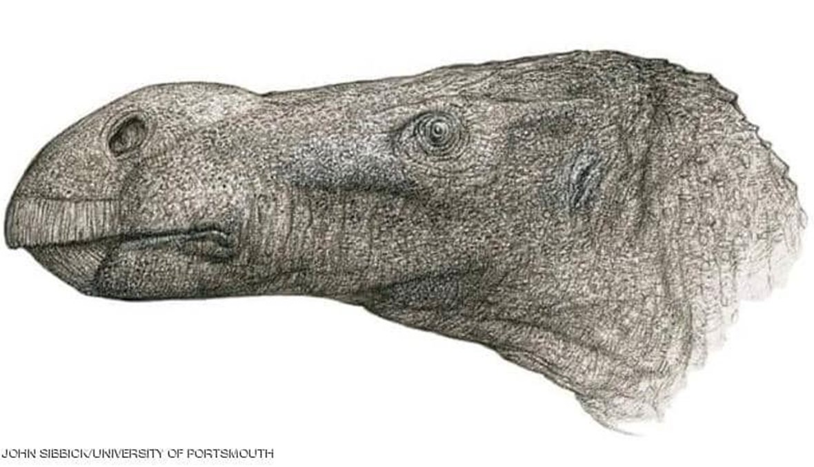 اكتشاف نوع جديد من الديناصورات بـ"أنف كبير"