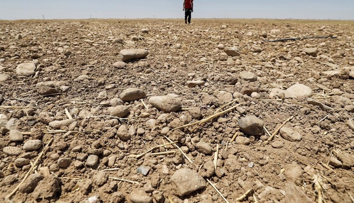 لا حصاد يكفيهم قوتهم: فلّاحون في شمال العراق يهجرون أرضهم بسبب الجفاف