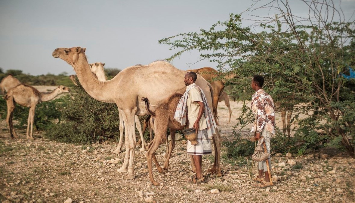 الأمم المتحدة: الصومال مهدّدة بـ"تفاقم سريع" للجفاف
