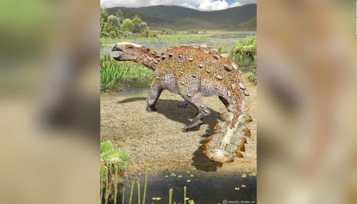  اكتشاف ديناصور مدرّع قبل ملايين السنين.