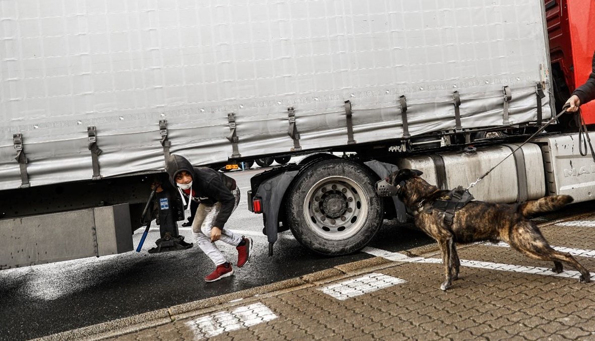  كلب للأمن ينبح بعد رصده مهاجرين مختبئين تحت شاحنة متجهة إلى إيرلندا، في ميناء شيربورغ شمال غرب فرنسا (2 شباط 2021، أ ف ب). 