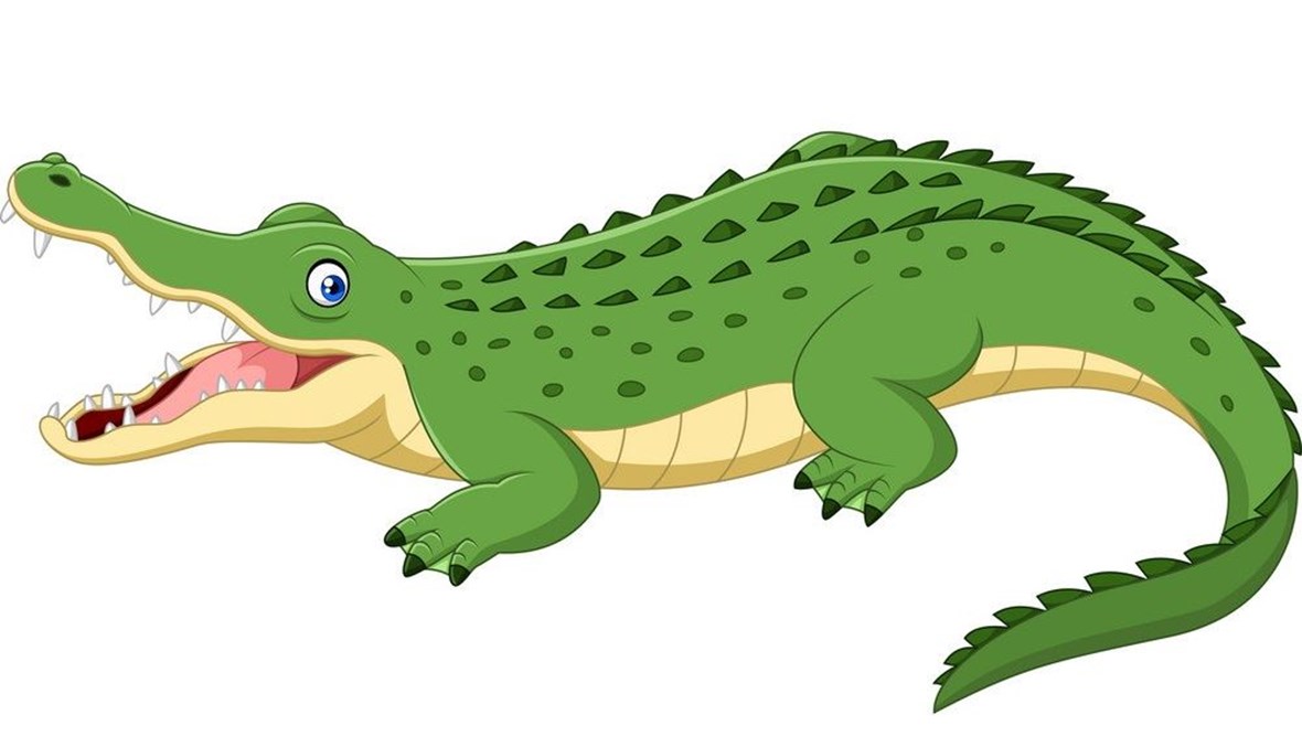 تعرّف إلى صفات التمساح