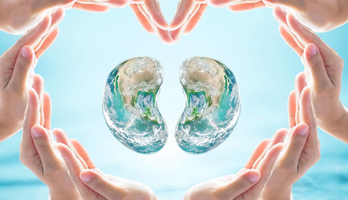 ما الأمراض التي يمكن أن تؤدي إلى الفشل الكلوي؟