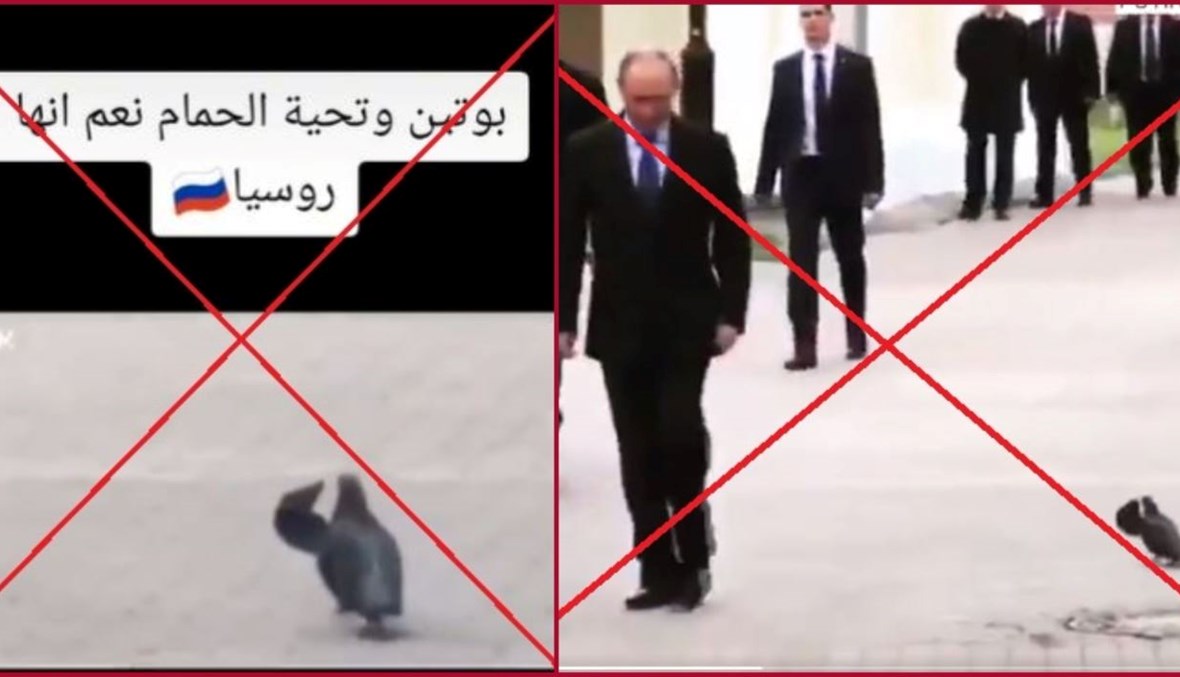 "بوتين وتحية الحمامة"؟ إليكم الحقيقة FactCheck#