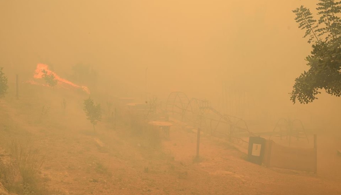 رماد الحرائق يكشف حجم المجزرة: محمية "خندق الرهبان" ماتت