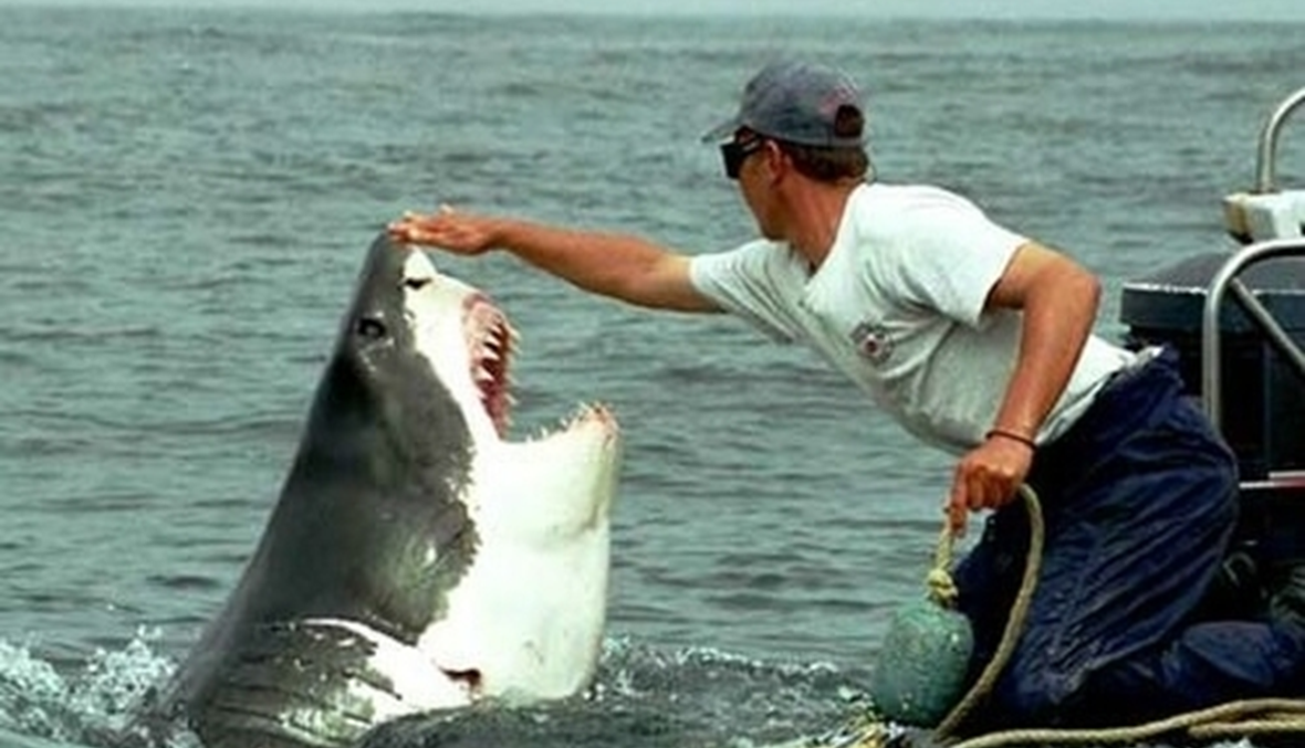 الإفراط في صيد أسماك القرش يهدد بفناء أنواع كثيرة منها 