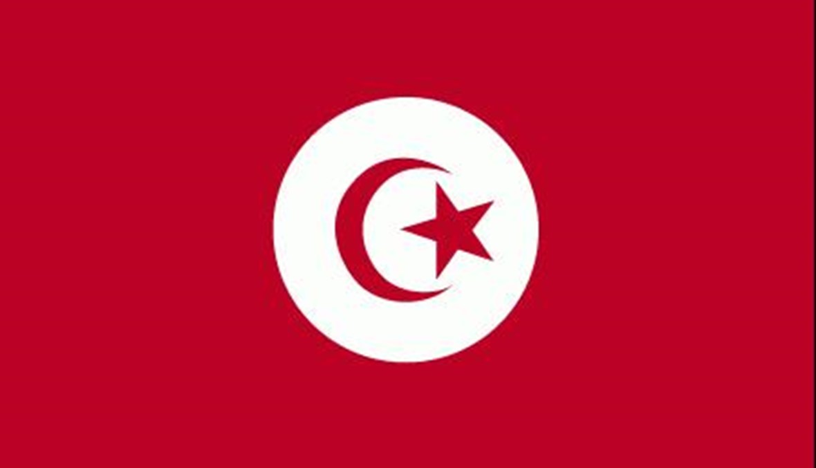 استقالة وزير الدفاع التونسي بسبب "ضبابية" المشهد السياسي في بلاده 