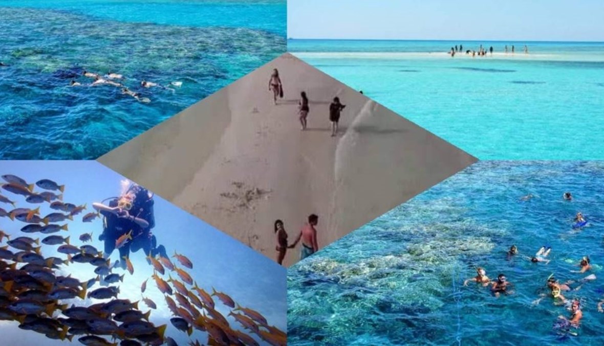 الجزيرة البيضاء بشرم الشيخ... مسحورة تظهر صيفاً وتختفي شتاءً