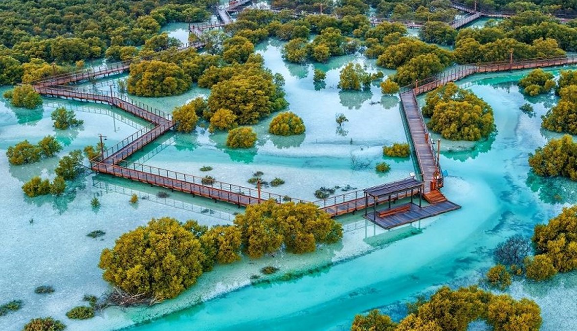 منتزه قرم الجبيل في أبوظبي يحقق أعداداً قياسية من الزوار