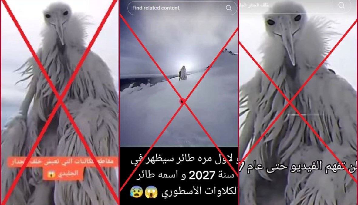 "هذه الكائنات تعيش وراء الجدار الجليدي"؟ إليكم الحقيقة FactCheck#