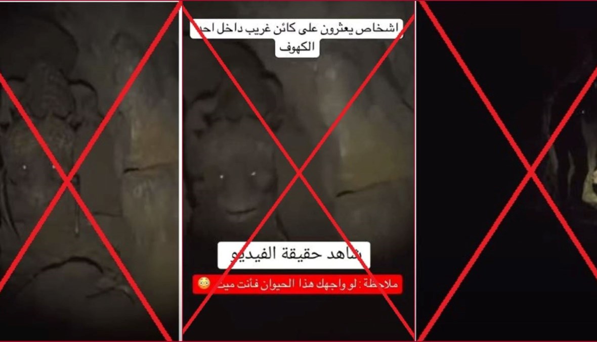 "تنين الكهف... لو واجهك فأنت ميت"؟ إليكم الحقيقة FactCheck#